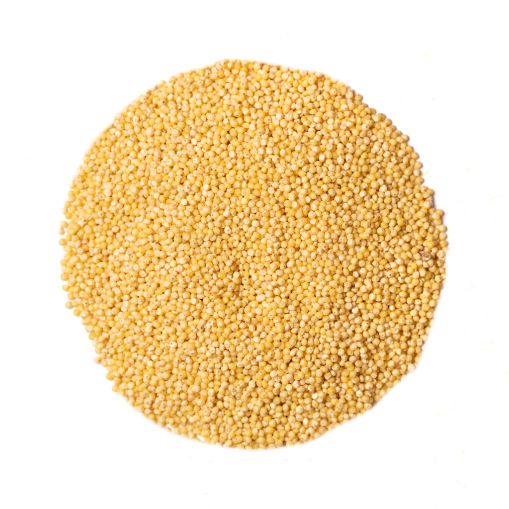 Seeds & Grains Canada Nut