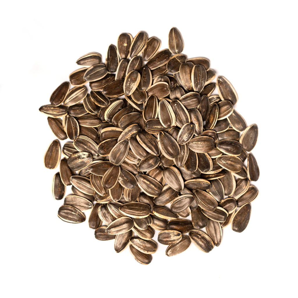 sunflower-seeds-canada-nut